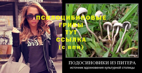 эйфоретик Каменногорск