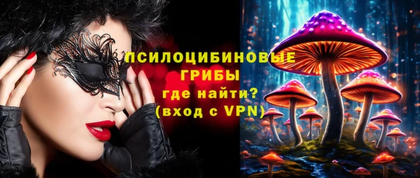 эйфоретик Каменногорск