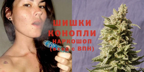 эйфоретик Каменногорск