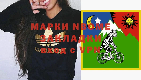 стафф Каменск-Шахтинский